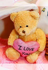 I Love You Teddy I Love You Teddy
